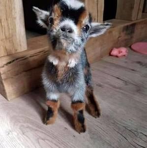 Meet your Posher, Marc